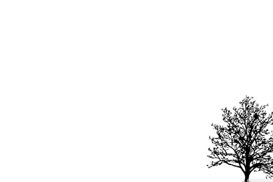 Minimalist Tree HD Desktop Wallpapers : High Definition ...