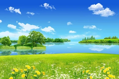 Summer Nature HD Wallpapers free download AMB.jpg