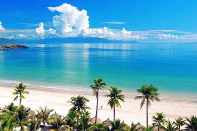 Sea Sand Summer nature >> HD Wallpaper, Get It Now!