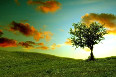 Summer Nature Pictures   Wallpapers High Definition