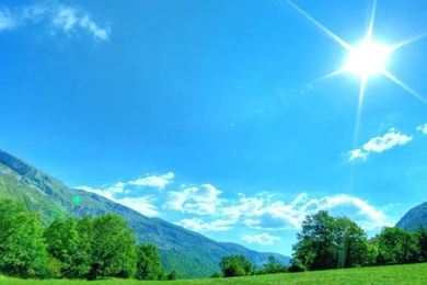 Beautiful Summer Nature Wallpapers 980×720