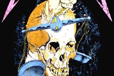 Metallica Music Artists Wallpapers For iPhone Download Free