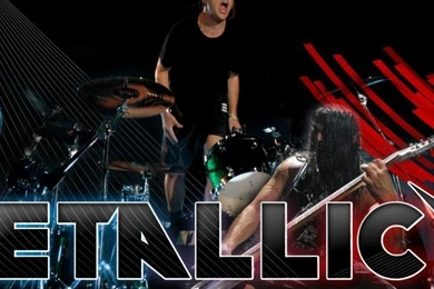 Download Wallpapers 750x1334 Metallica, Members, Show, Name ...