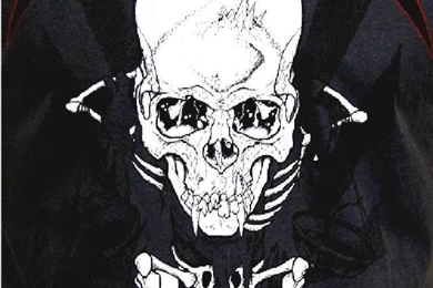 Download For iPhone Backgrounds Metallica From Category Music And ...