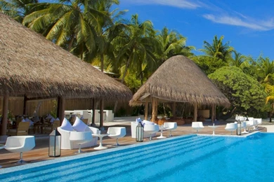 1080x1920 Summer Nature Wallpapers HD