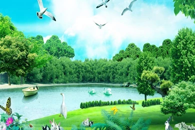 HD Forest Animals Summer Nature Wallpapers.jpg