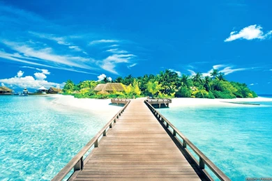 Super Beautiful Nature Wallpapers   Latest Wallpapers