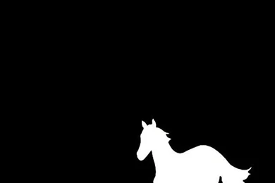 White Pony Deftones iPhone 5 Wallpapers (640x1136)