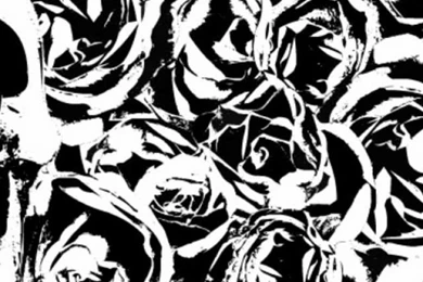 iPhone 4   Music/Deftones   Wallpapers ID: 551769