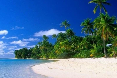 Natural_Wallpaper_for_iPhone_Backgrounds_iPhone_5_Pictures_Wallpapers_and_Backgrounds 121.jpg