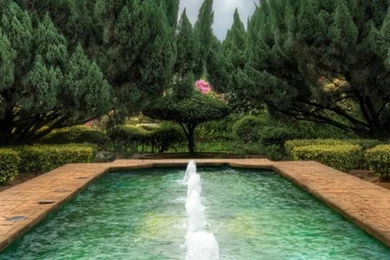 Nature Clouds Wood Color iPhone 6 Wallpapers HD And 1080P 6 Plus ...