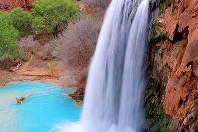 Nature iPhone wallpaper.jpg