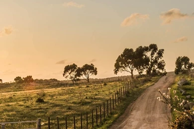 Nature Country Fence Road View iPhone 6 Wallpapers Download ...