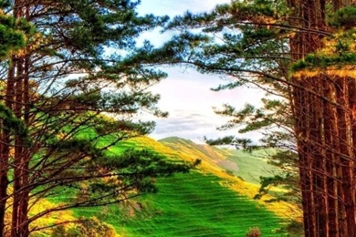 iPhone 6 Wallpapers Nature 04