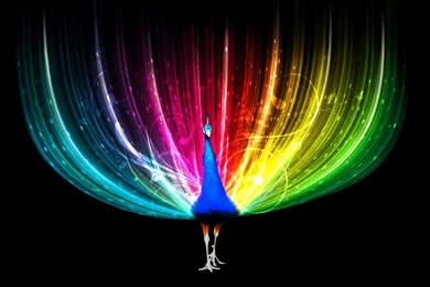 Download Free Animated Peacock