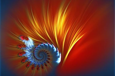 1024x768 Peacock Vectors Desktop PC And Mac Wallpapers