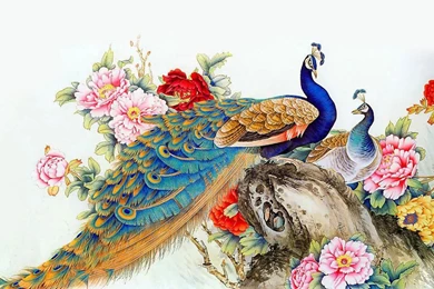 Peacock Wallpaper Free Download.jpg