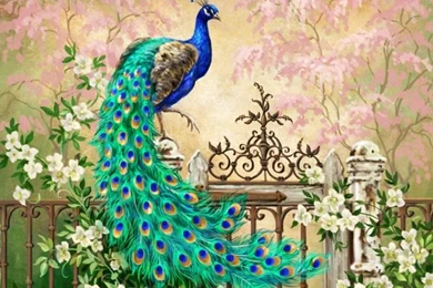 1500x500 Pretty Peacock Garden Gate Twitter Header Photo