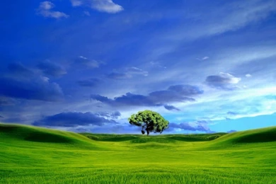 Free Wallpapers   Free Art Wallpapers   Talisman Theme 3 Wallpapers ...