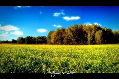 1600x1200 Autumn Is Here Desktop PC And Mac Wallpapers