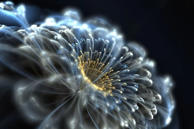 Abstract Neon Flower Wallpapers