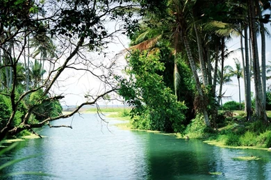 Free Wallpapers   Free Travel Wallpapers   Bali 1 Wallpapers ...