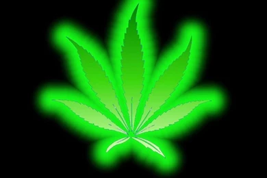 90 Neon Wallpapers Pack 1440 X 900 Picture Collection   Photo 18 Of ...