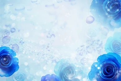 Background Images For Wedding   Widescreen HD Wallpapers