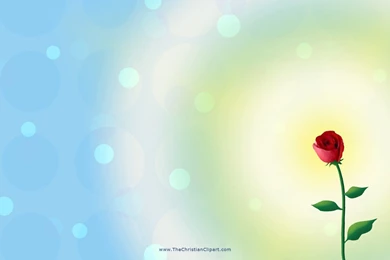 Free Wedding Background Images