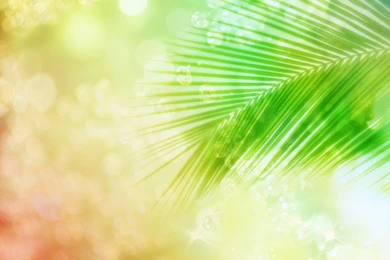 Green Wedding Invitation Backgrounds Designs