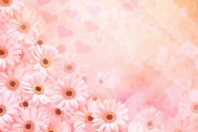 Wedding Backgrounds   Wallpapers