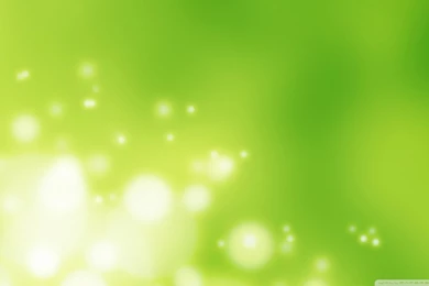 Light Green Wallpapers