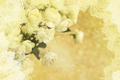 Download Wedding Wallpapers 2533 1920x1440 Px High Resolution ...