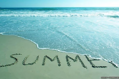 Last Summer Wallpapers   Crazy Frankenstein