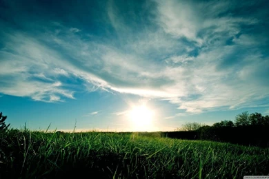 Sunny Day, Summer HD Desktop Wallpapers : Mobile