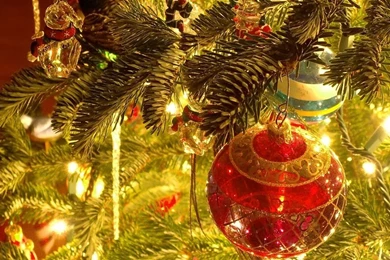 Christmas Wallpapers   Christmas Wallpapers (27669645)   Fanpop