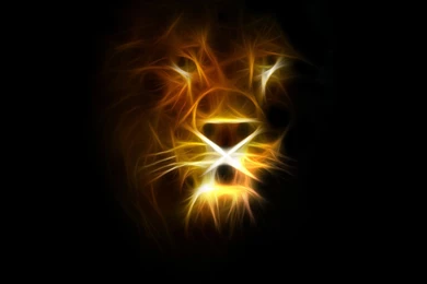 Desktop Backgrounds Lion Wallpapers