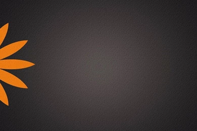 Gray Background, Orange Flower Wallpapers And Images   Wallpapers ...