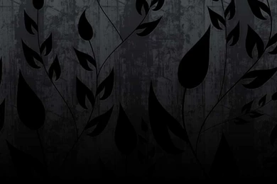 Free Climbing Vines Stock Background Images » Backgrounds Etc