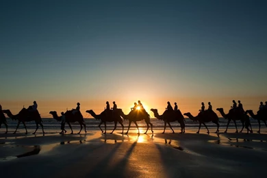 Red Sea Egypt Wallpapers And Images   Wallpapers, Pictures, Photos