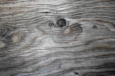 Colors Grey And Monochrome Backgrounds And Backgrounds HTML Codes