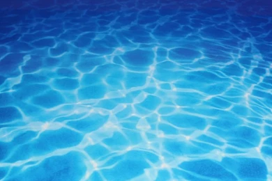 Aquarium Backgrounds Paper Plants Thick Undersea Aquarium Light ...