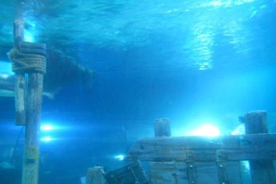 Sealifeaquarium   DeviantArt