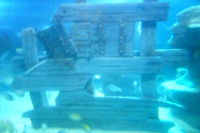 Top Undersea Background Images For Pinterest