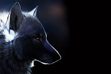 Red Eyed Black Wolf.jpg