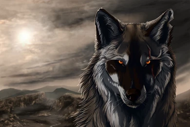 Black Wolf Wallpapers   Wallpapers HD Wide
