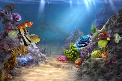 Undersea Hd Wallpapers ›› Page 0