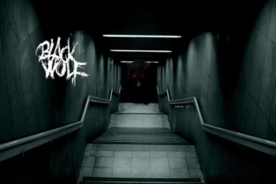 The Black Wolf   Wallpapers 1 By PatrickHill On DeviantArt