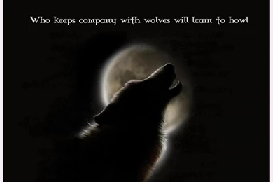 Wolf Wisdom Wallpapers   (