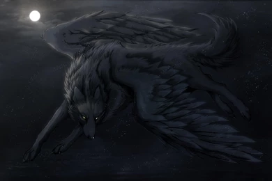 Black Wolf Of The Full Moon   (